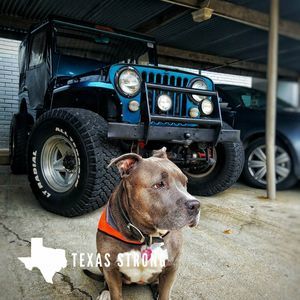 Meet your Posher, Zachary